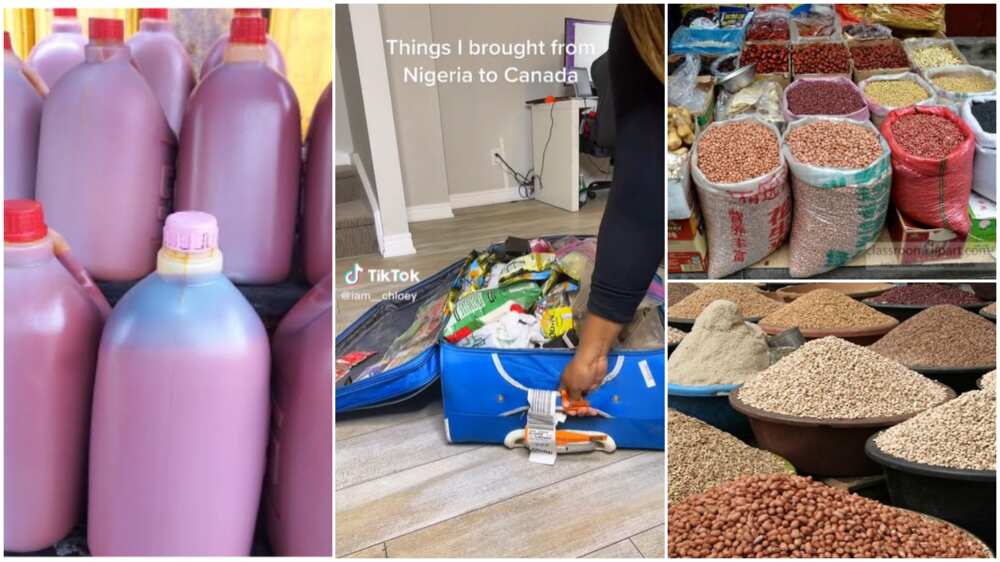 Provisions to take Canada/meat among prohibited items. Provisions to take Canada/meat among prohibited items.