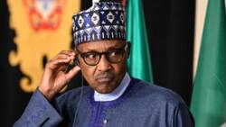 May 29: Amid criticisms, presidency scores Buhari high, rolls out list of achievements in 8 years