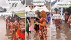 "The couple almost gave up": Asoebi ladies defy heavy rain, dance at flooded venue for bride in viral video