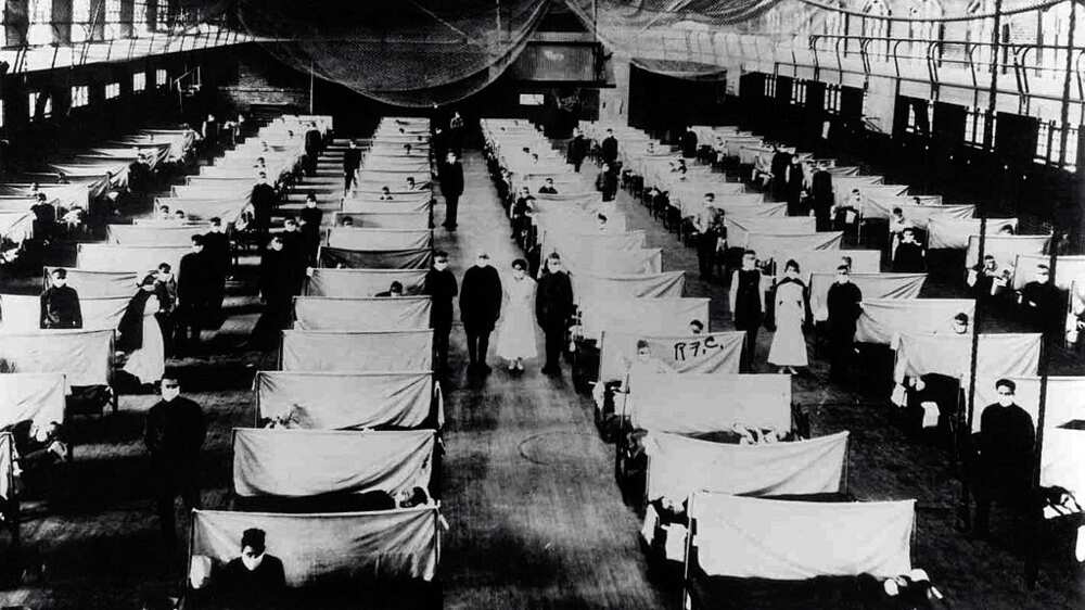 Tout sur la grippe espagnole Tout sur la grippe espagnole