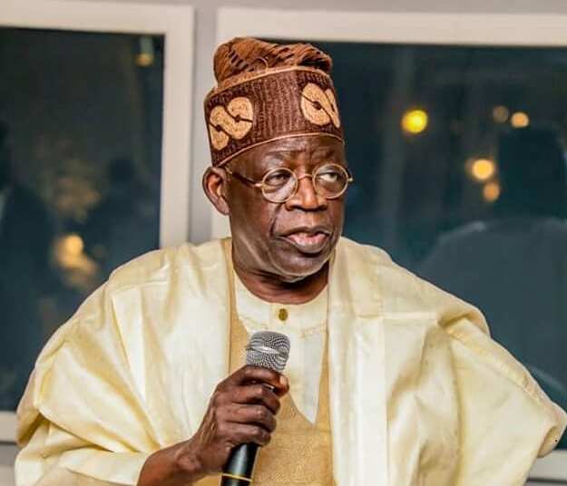 2023: Why the Northern Politicians may Betray Bola Tinubu - APC Chieftain