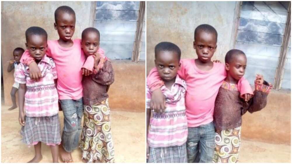 Heart-wrenching story of three siblings abandoned by their parents in Edo state (photo)