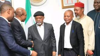 Canjin Kuɗi: Gwamnan CBN Ya Roki Kungiyar Kwadugo Ta Janye Shirinta Na Zanga-Zanga