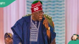 Breaking: Tinubu discloses source of cash fueling illegal mining, terrorism in Africa