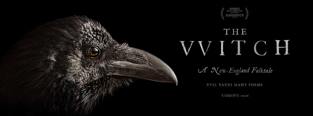 terrifying movies terrifying movies