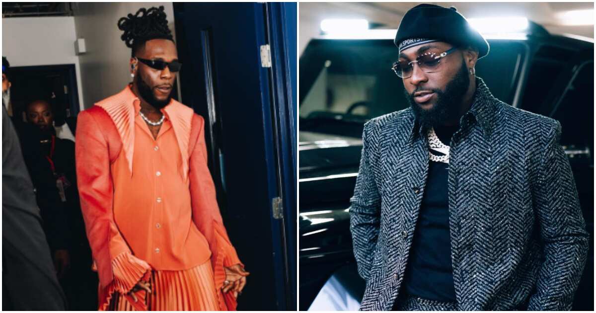 You won't believe how Burna Boy broke his silence after Davido called him 'new cat'