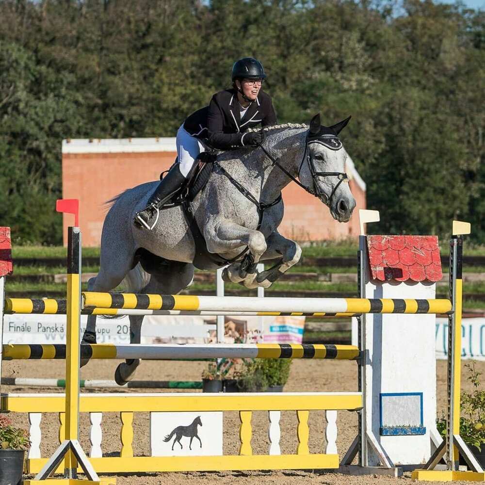 Cool horse names Cool horse names