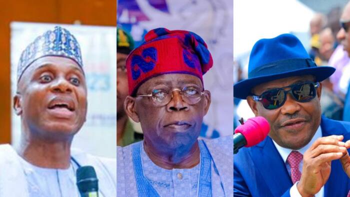 Ministerial list: Drama as Amaechi's ally roots for Wike's place in Tinubu's cabinet, gives reason