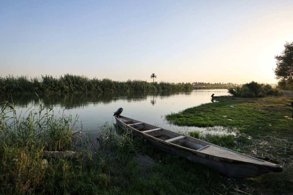 A fishing boat is moored on the banks of a branch of the Euphrates River in the Iraqi town of Al-Hamza