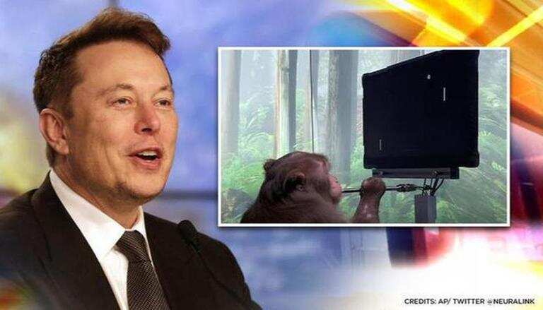 Elon Musk and one of the monkeys given the brain chip