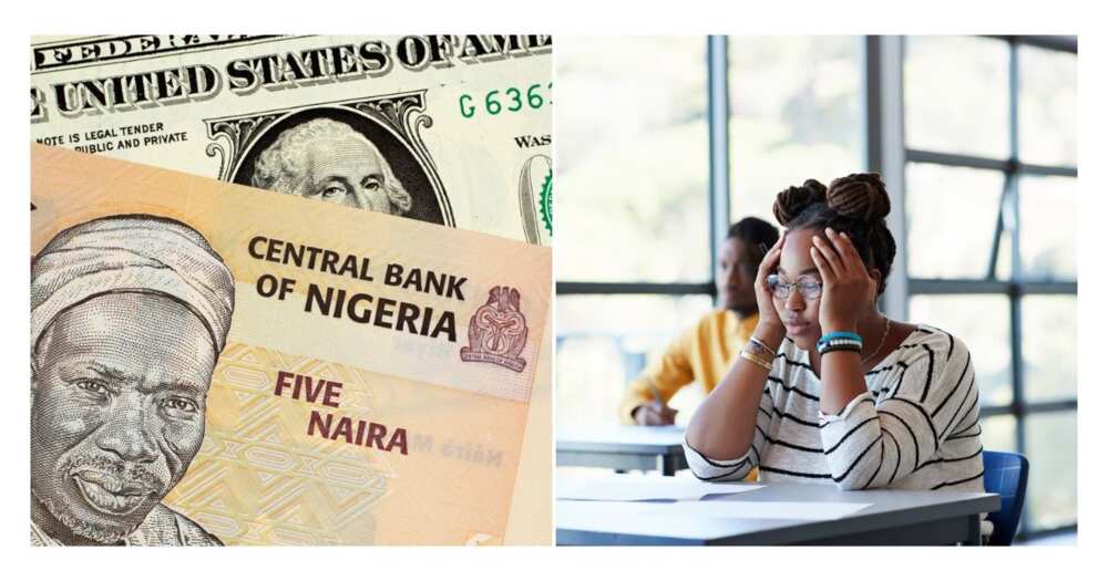 Niara, Dollar, Forex Market, Exchange Rate