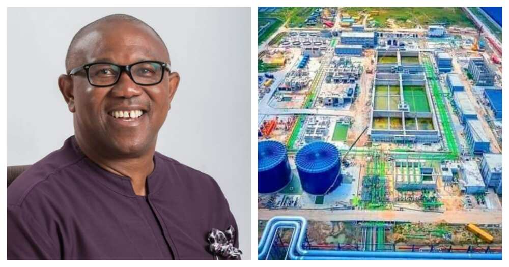 Peter Obi/Dangote Refinery/Africa's largest refinery