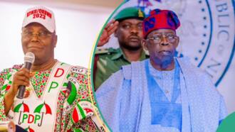 5 reasons why Tinubu does not want Chicago University to hand over academic records to Atiku