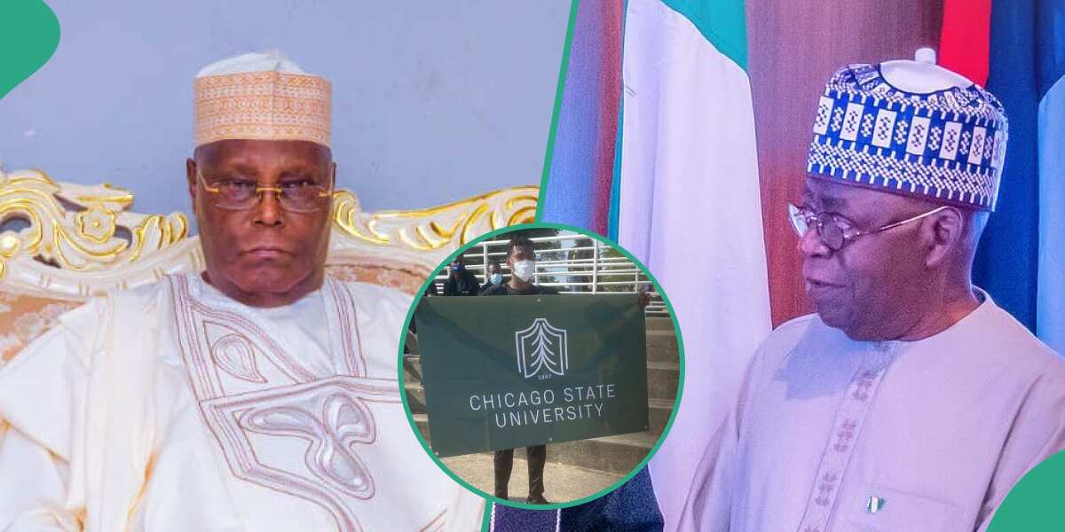 Tinubu's team receives fresh challenge as Chicago university certificate saga rages on