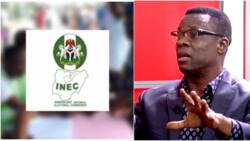 “Politicians Will Find It Difficult to Rig 2023 Elections," Former INEC REC Explains Why in Video