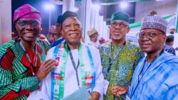Convention: Powerplay as APC leaders edged out Buni caretaker members Nnamani, Ahmed from unity list