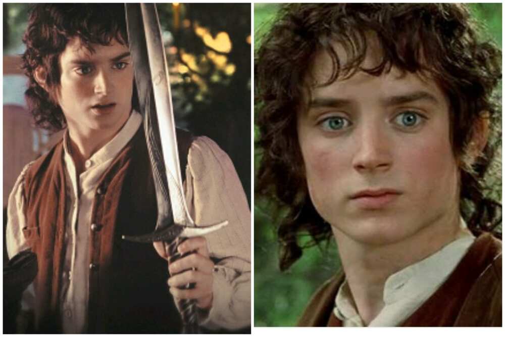 Frodo Baggins from The Lord of the Rings
