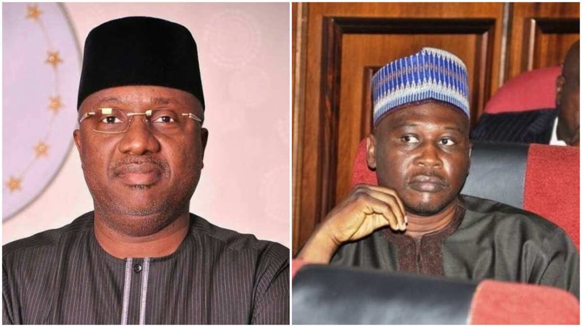 Live updates of Adamawa governorship supplementary election - Legit.ng