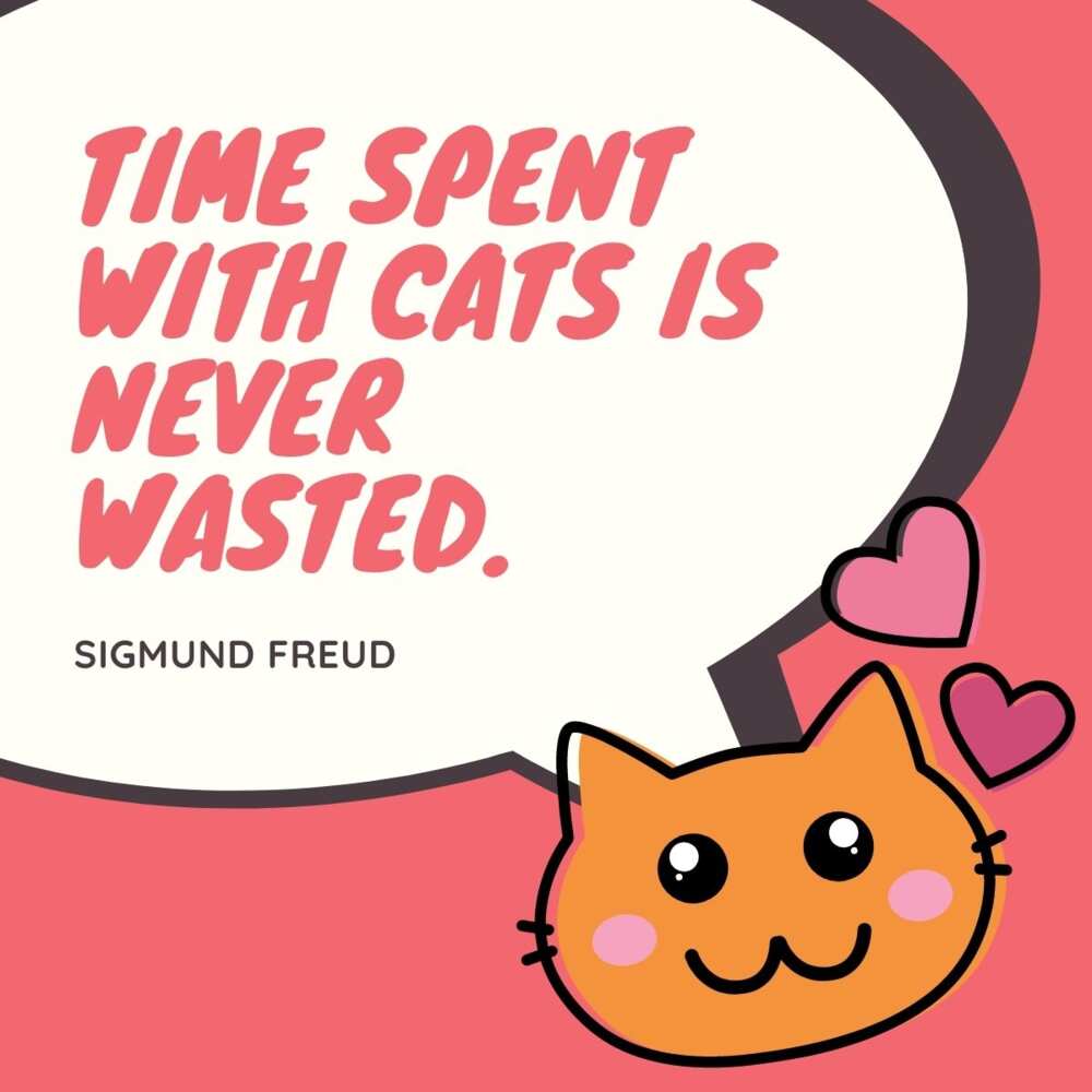 Sigmund Freud cat quote