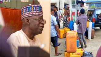 Bola Tinubu: So Far, 1 African Country Removal of Fuel Subsidy In Nigeria Has Affected