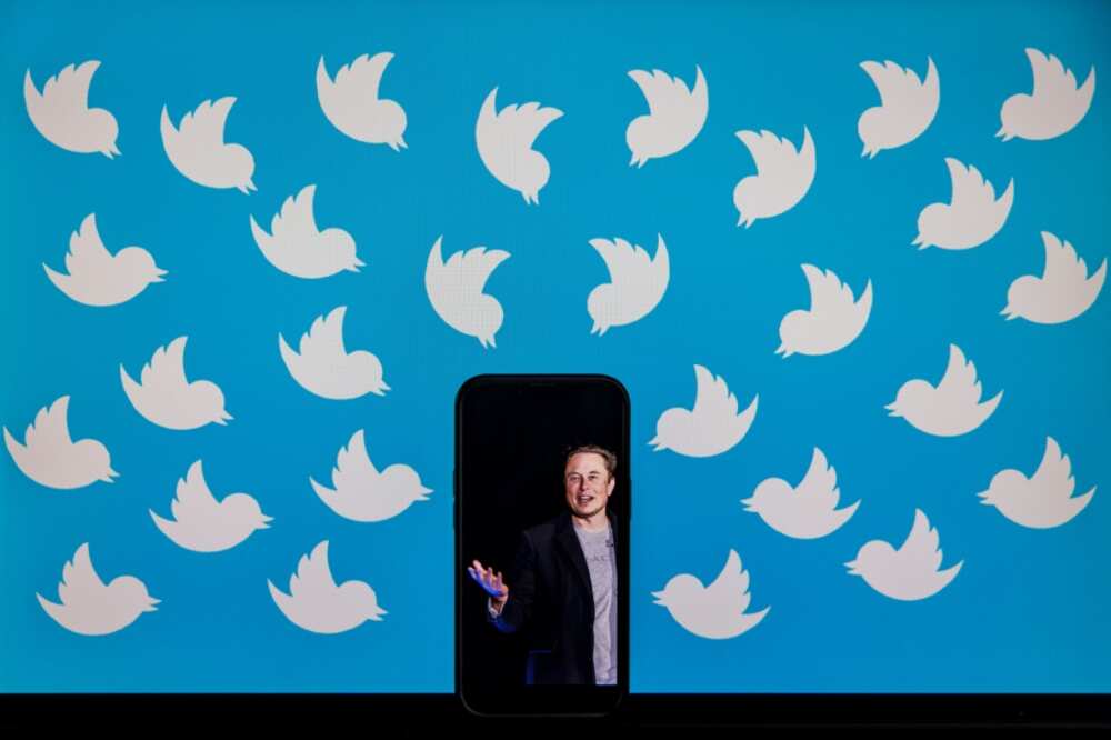 There has been fevered talk of Twitter's imminent demise since billionaire Elon Musk took over