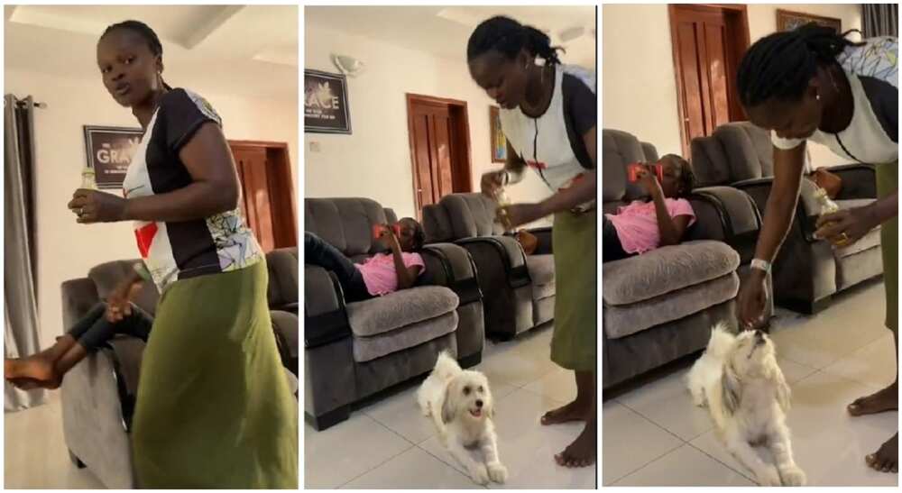 Photos of a Nigerian mum annointing her children and her dog.