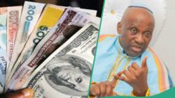 “Our problem”: Prophet Ayodele shares new prediction amid naira appreciation