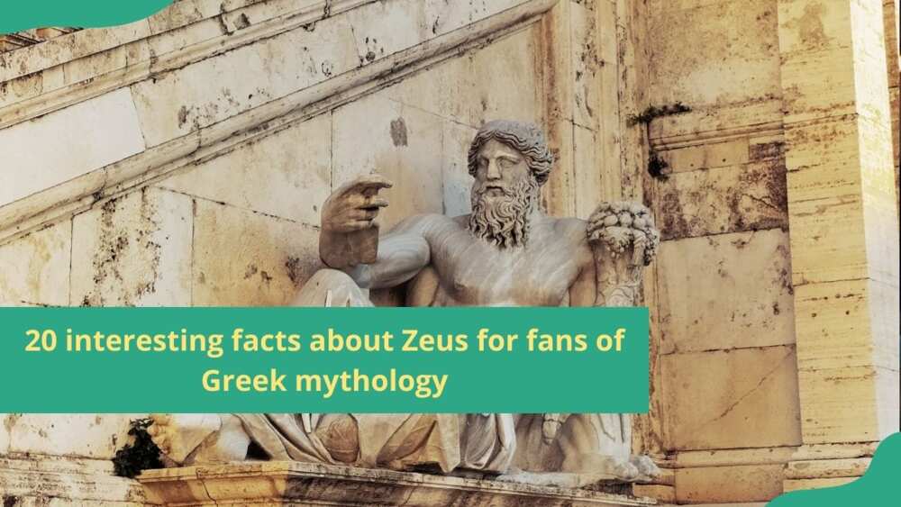 facts about Zeus