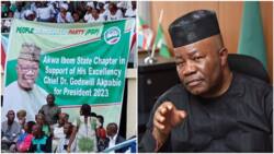 Confusion as banner shows PDP declaring support for Buhari's minister as he declares for president