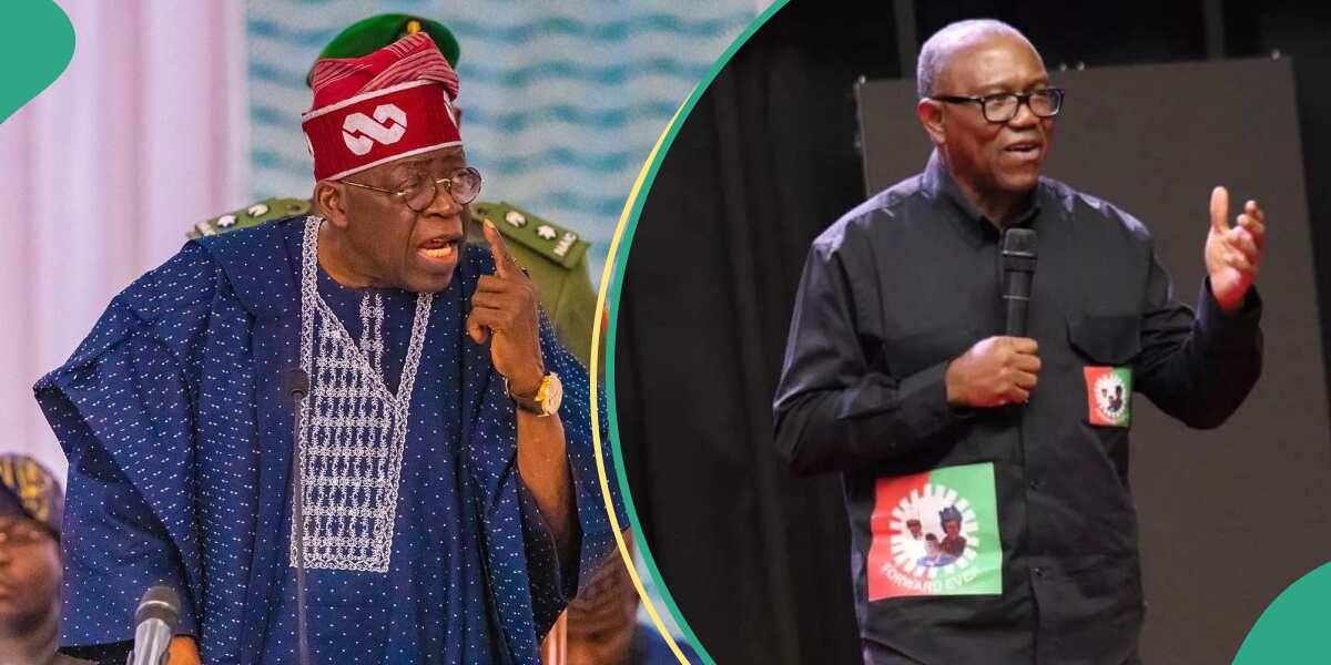 Tinubu reveals why Nigerians rejected Peter Obi after LP candidate attacked Supreme Court