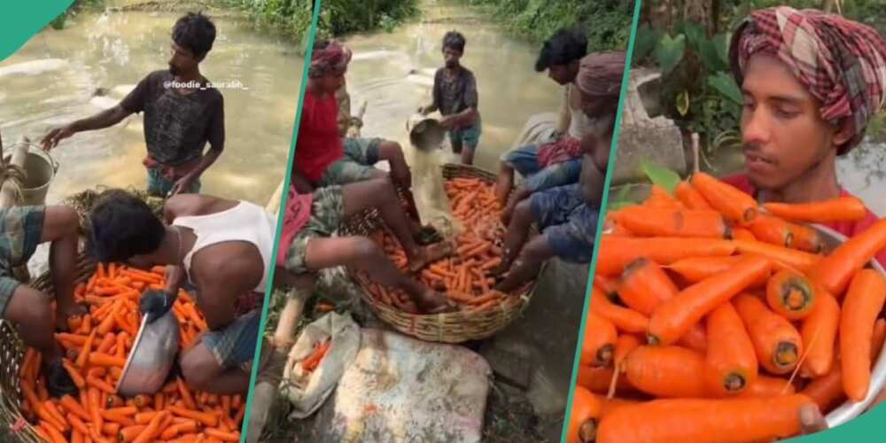 Reactions trail video of men using feet to wash carrots