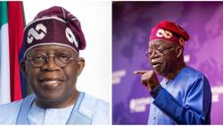 2023: What Nigerians should expect from Tinubu's Presidency, APC chieftain reveals
