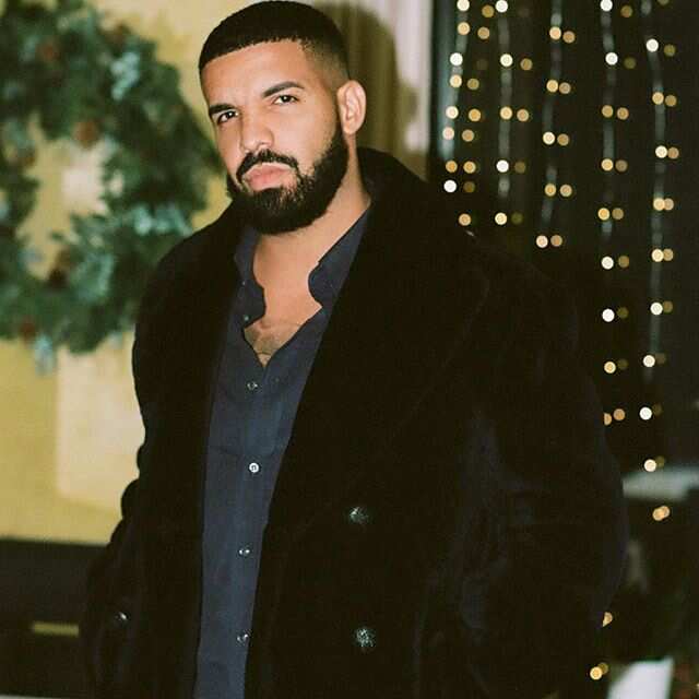 Net Worth of Drake - LedgerNote