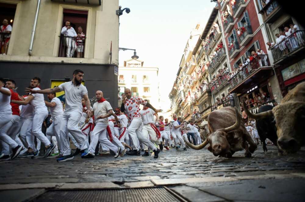 Every day at 8:00 am, hundreds of daredevils race six fighting bulls down to Pamplona's arena