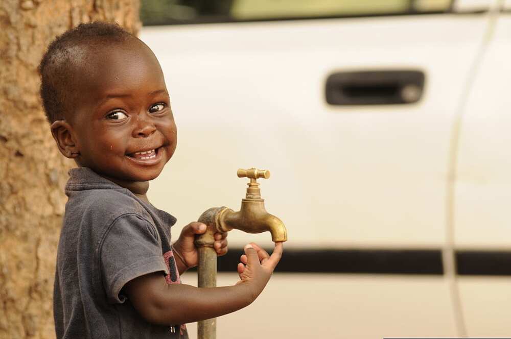 10 points on importance of water 10 points on importance of water