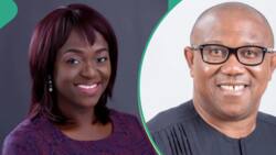 LP crisis: What I’ll do if Peter Obi dumps Labour Party, House of Reps aspirant speaks