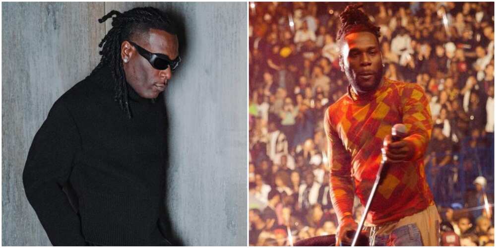 Moment Burna Boy pushed 'over sabi' fan who tried to join him on stage.