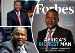  Aliko Dangote 