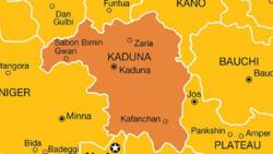 BREAKING: Miyetti Allah chairman killed as gunmen invade Kaduna community