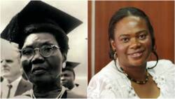 Big Naija Independence: Remembering Dora Akunyili, Funmilayo Ransome-Kuti and other women's role
