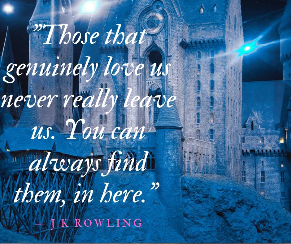 Harry Potter quotes about love