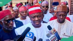 Kwankwaso behind NNPP's crisis? Party chieftain speaks