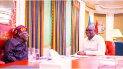 BREAKING: Photos, details emerge as President Tinubu receives Ayo Fayose at State House
