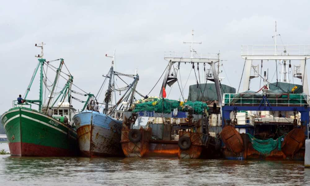 Trawlers seen docked in Abidjan, Ivory Coast's economic capital, during a crackdown on illegal fishing in 2014