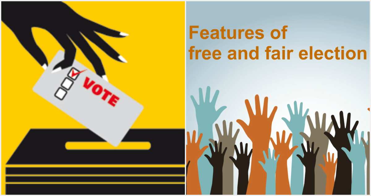 features-of-free-and-fair-election-legit-ng