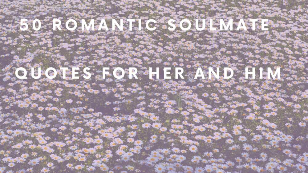 soulmate quotes