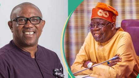 “We’ll wrestle the oppressors”: Peter Obi’s supporters make new move to dislodge Tinubu’s govt in 2027