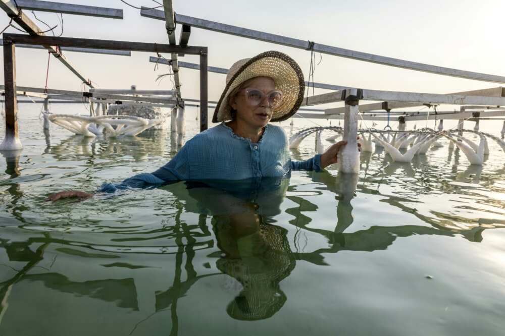 Landau wades into the waters of the Dead Sea to inspect her latest creations -- everyday objects coated in salt crystals that glisten in the sun