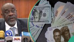 From N35m to N350m: BDCs urge CBN to approve mergers, increase in capital requirement