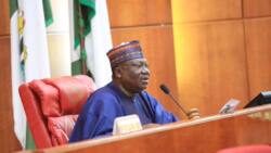 House of Senate seat over 20.5tr 2023 appropriation bill
